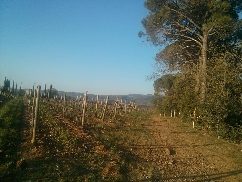 Argiano Dimore Wine Relais Exterior photo